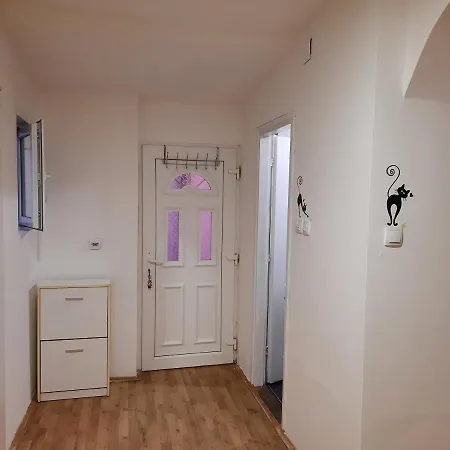 Mace Mm :) Šabac
